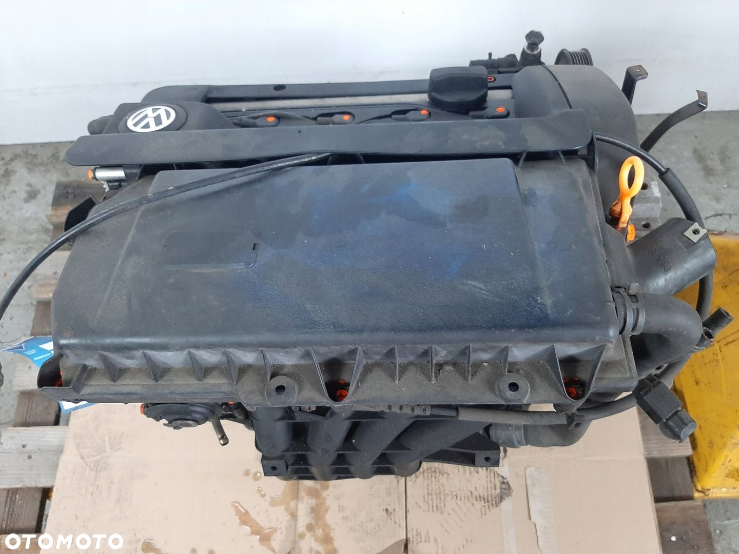 VW GOLF IV 1.4 16V HB 5D 00R SILNIK AKQ 55KW 75KM - 8