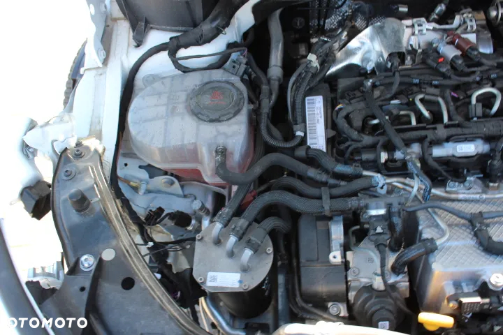 Ford TRANSIT CONNECT BASIS - 35