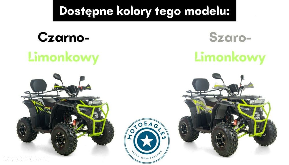 XTR Inny - 12