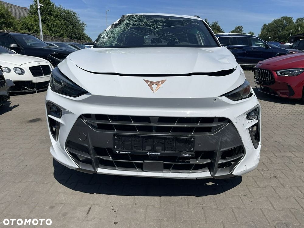 Cupra Terramar 2.0 TSI 4Drive Advantage Edition DSG - 12