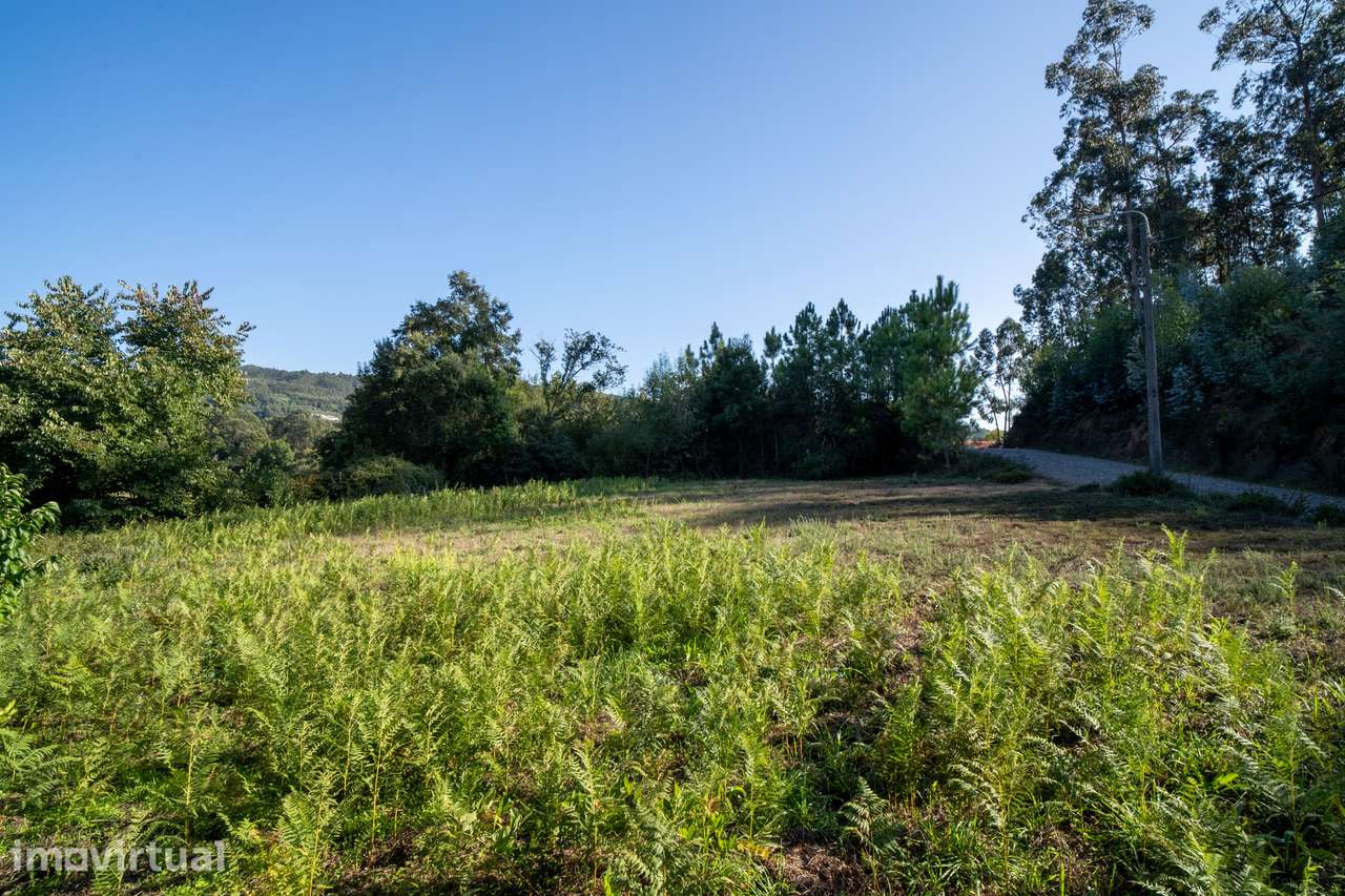 Terreno rústico com 2.064 m² – Oportunidade em Barroselas - Grande imagem: 4/4