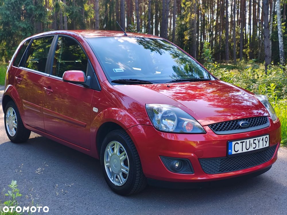 Ford Fiesta - 18