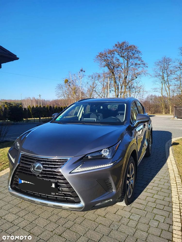 Lexus NX 300 Prestige AWD - 1