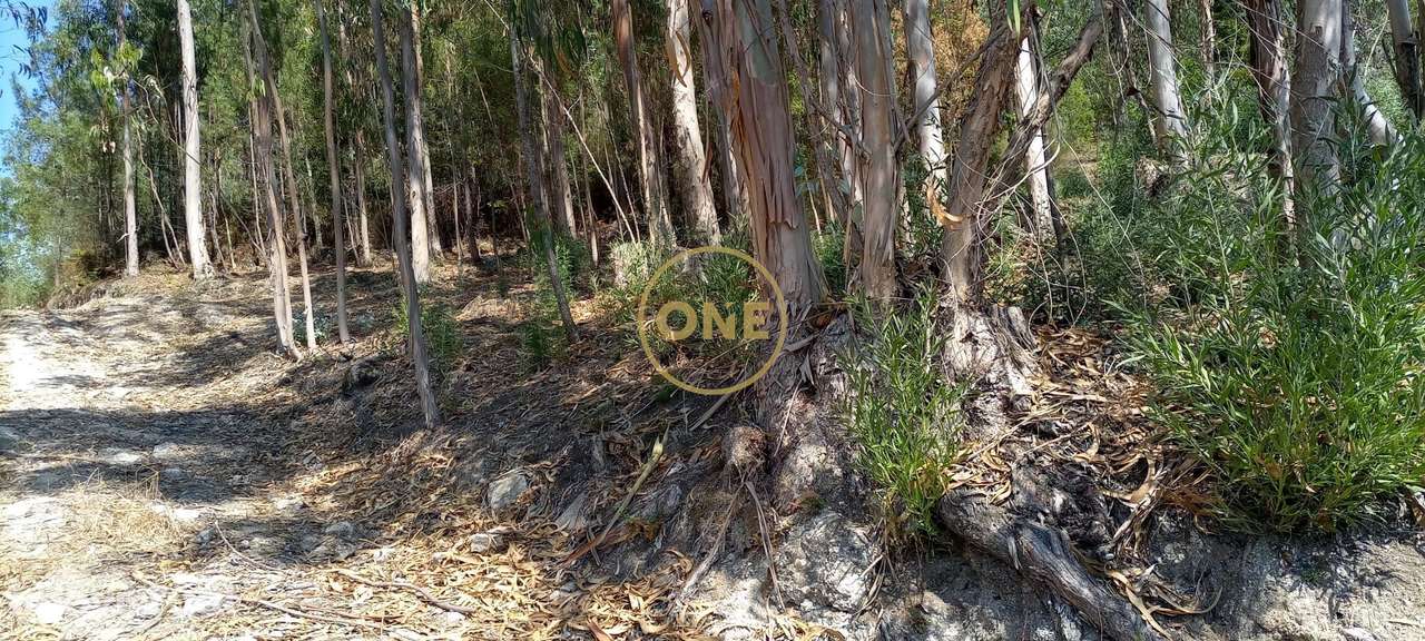 Venda Terreno - Grande imagem: 3/5