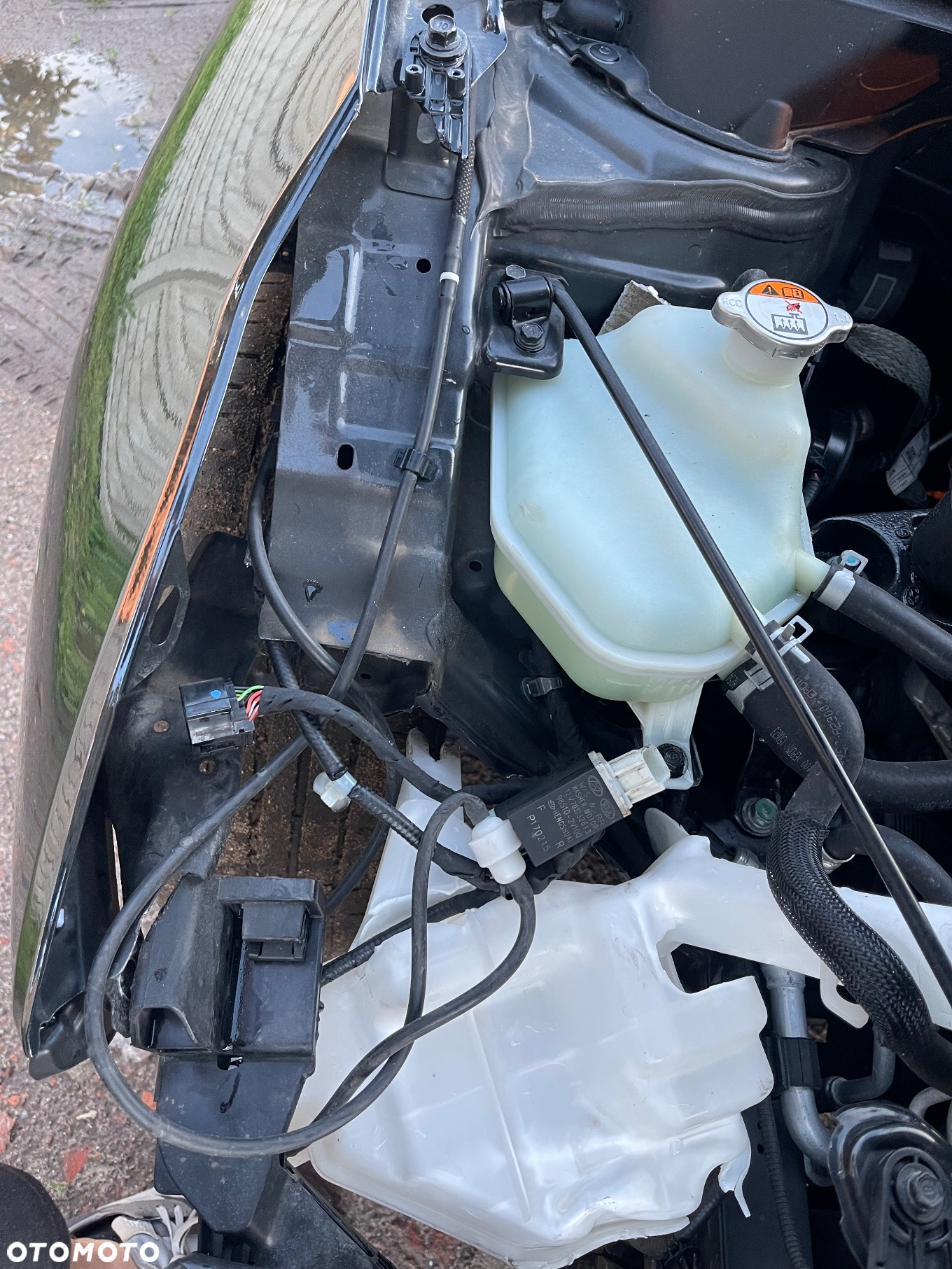 Kia Ceed 1.0 T-GDI 100 ISG Dream Team Edition - 13