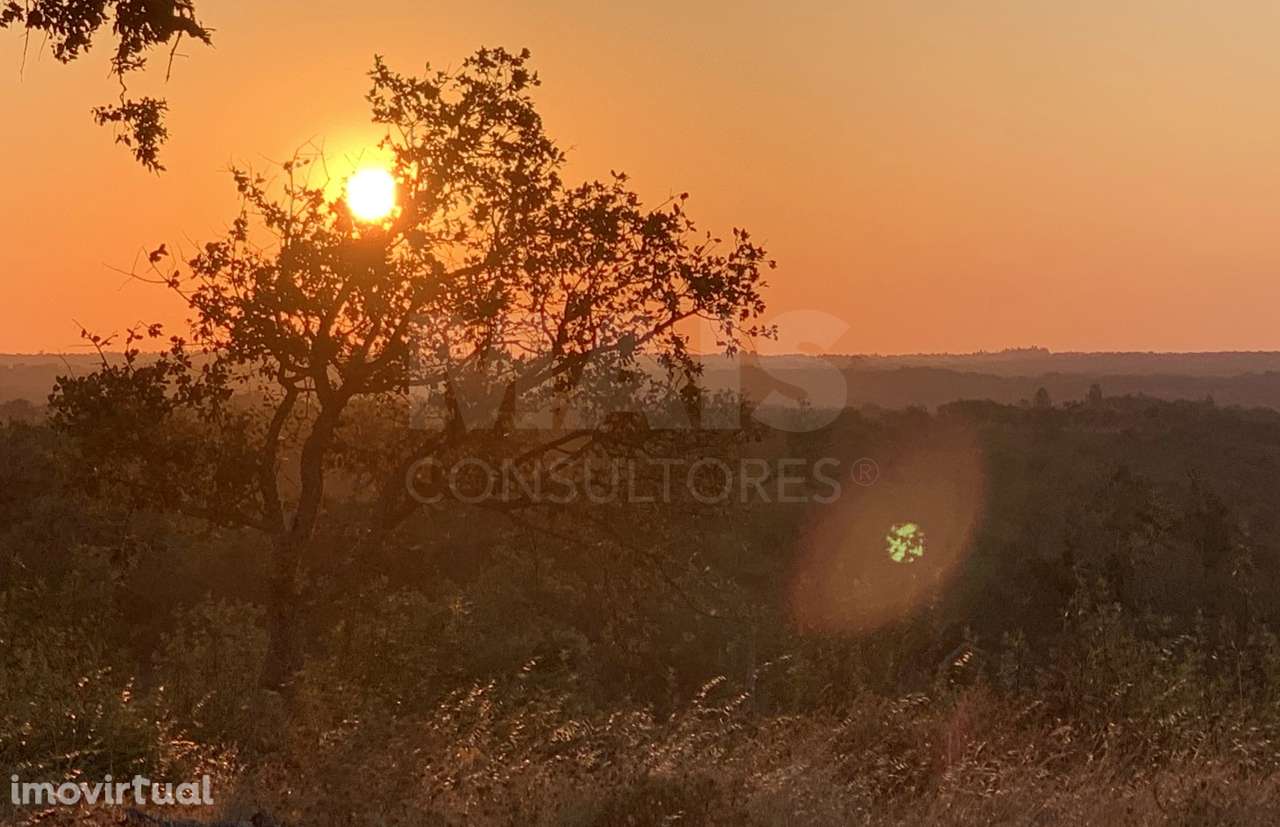 Herdade  com 40,85 hectares em São Bartolomeu da Serra, Santiago do... - Grande imagem: 2/50