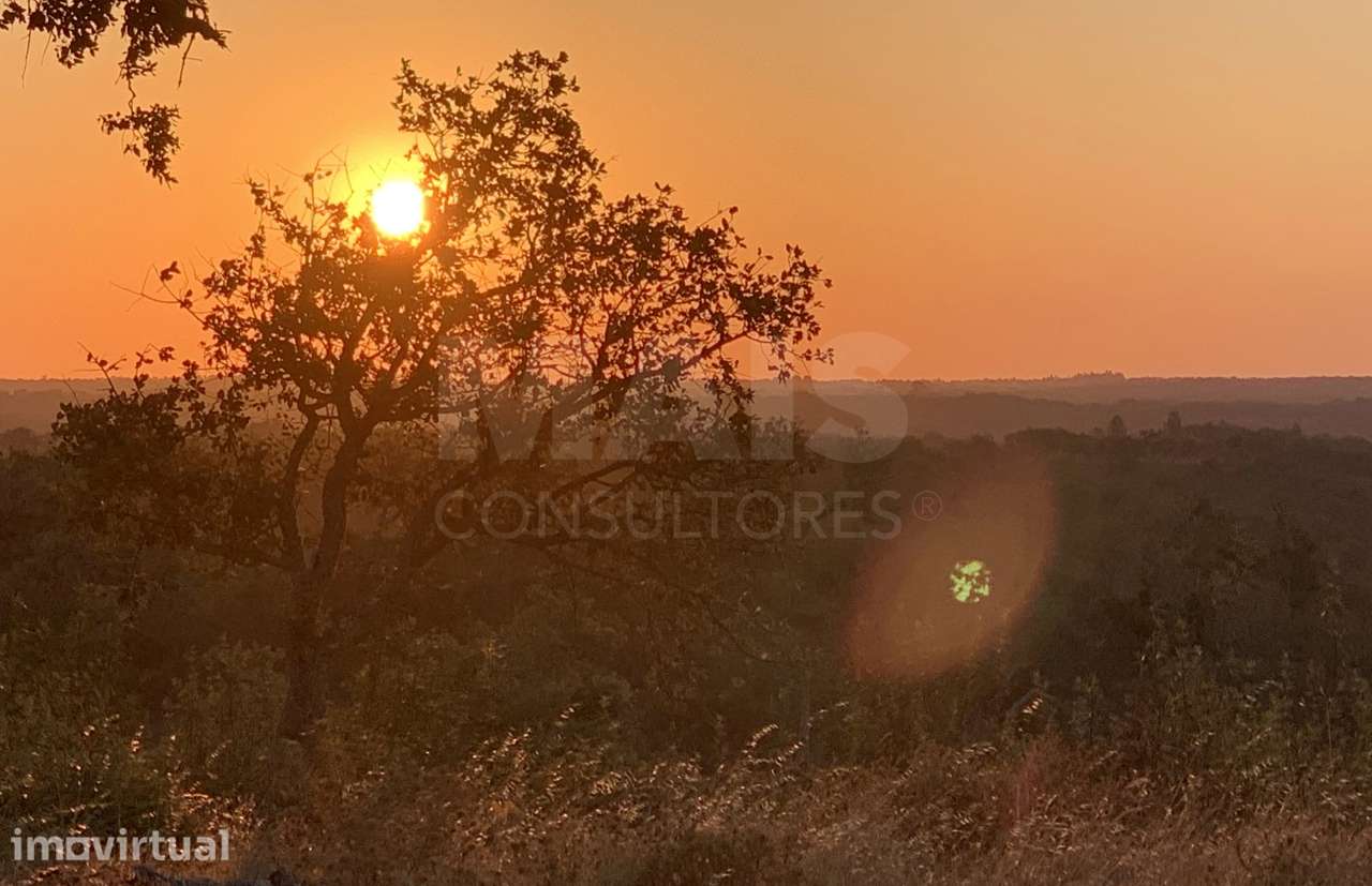 Herdade  com 40,85 hectares em São Bartolomeu da Serra, Santiago do... - Grande imagem: 2/50