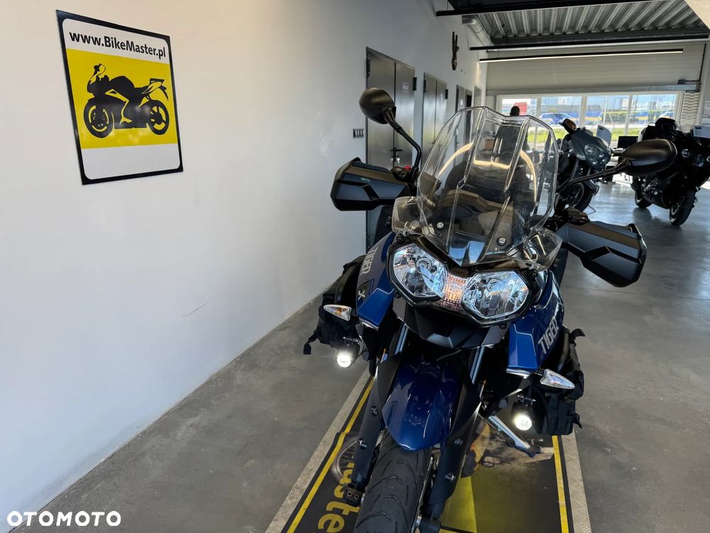 Triumph Tiger - 33
