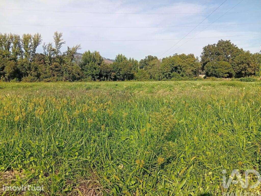 Terreno em Anais de 9845,00 m2 - Grande imagem: 4/30