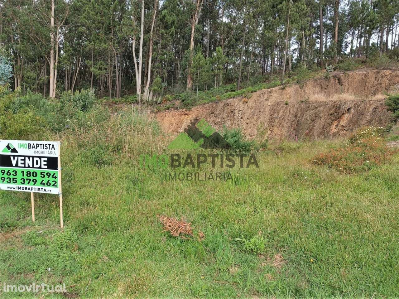 Terreno Urbano c/1900 m2 em Canedo - Grande imagem: 5/11