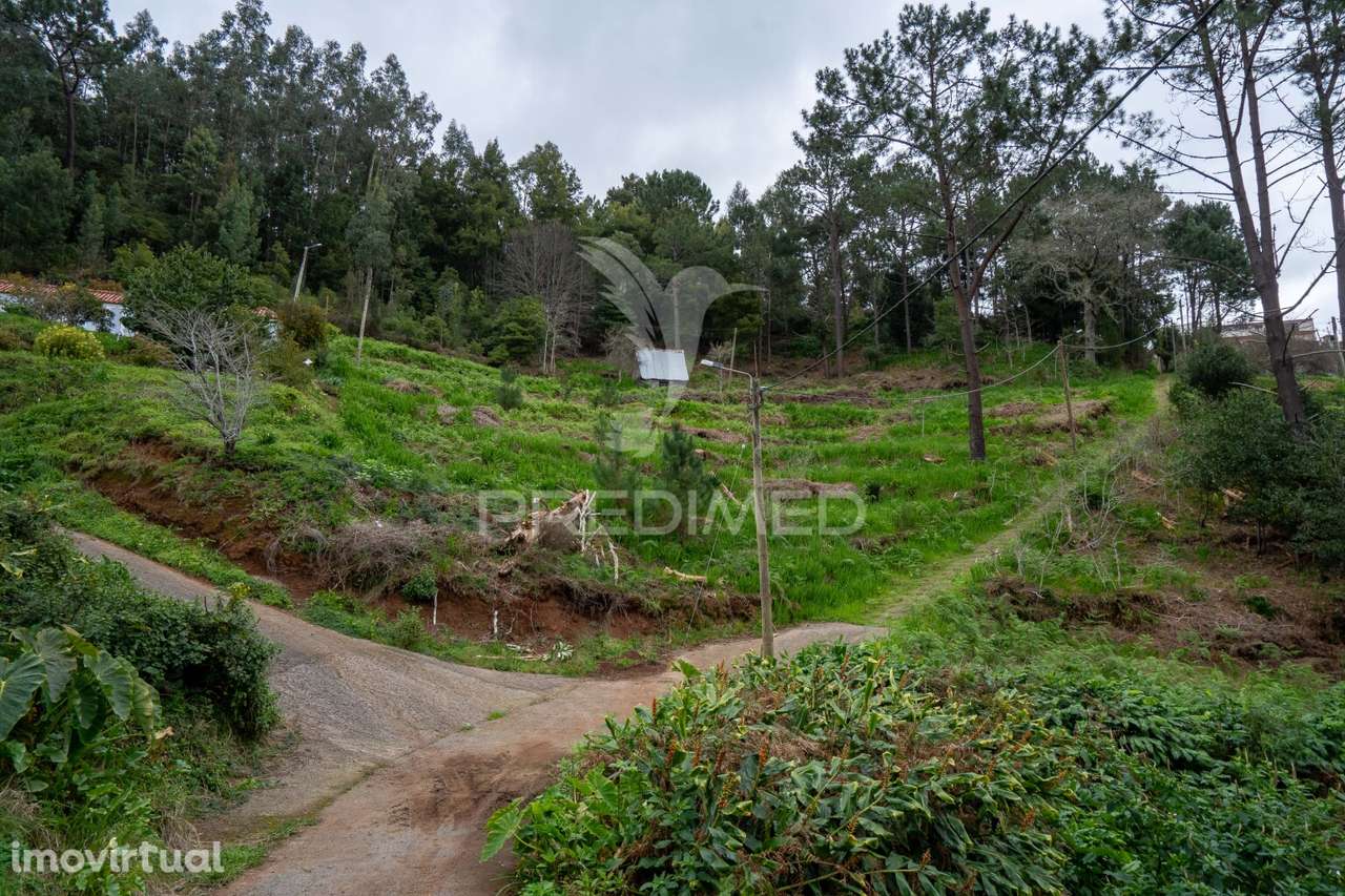 Terreno Na encantadora Freguesia do Santo da Serra Ilha da Madeira - Grande imagem: 4/14