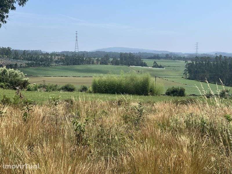 Terreno1050m2 para contruçao com projeto aprovado - Grande imagem: 5/8