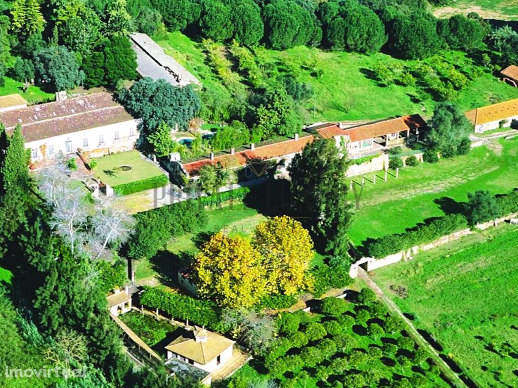 Charmosa Quinta setecentista, Setúbal - Grande imagem: 2/49