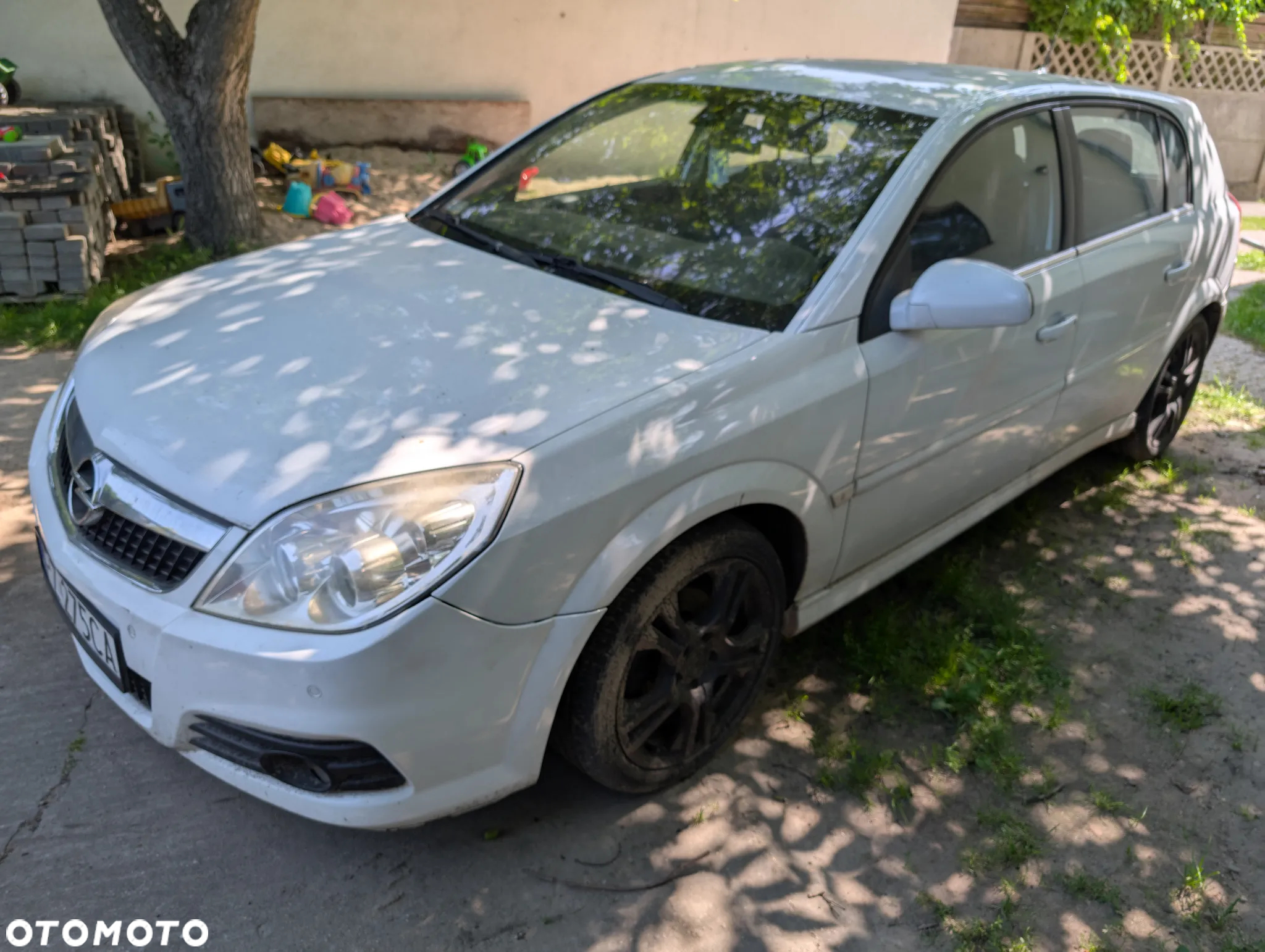 Opel Signum 1.9 CDTI Cosmo - 2