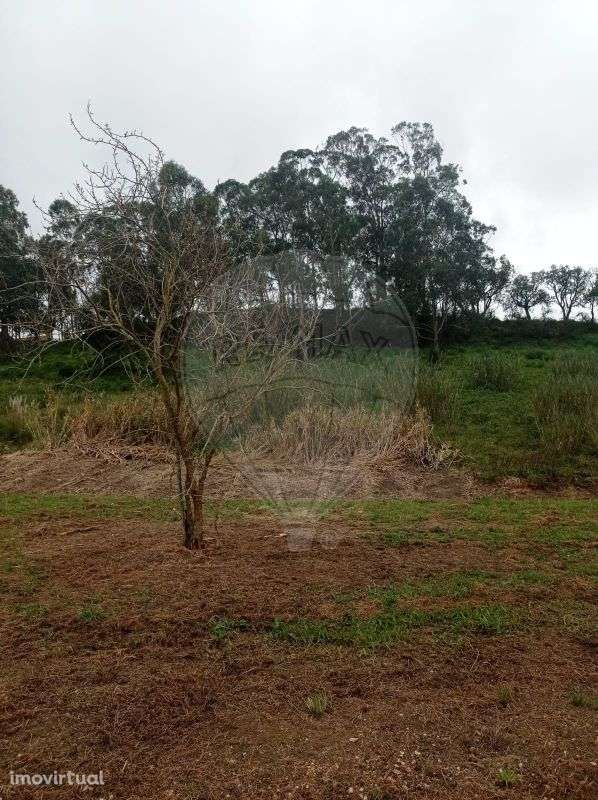 Terreno  para venda - Grande imagem: 3/7