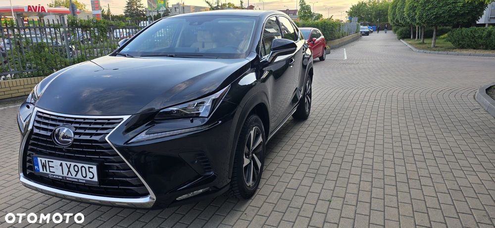 Lexus NX 300h Omotenashi AWD - 2
