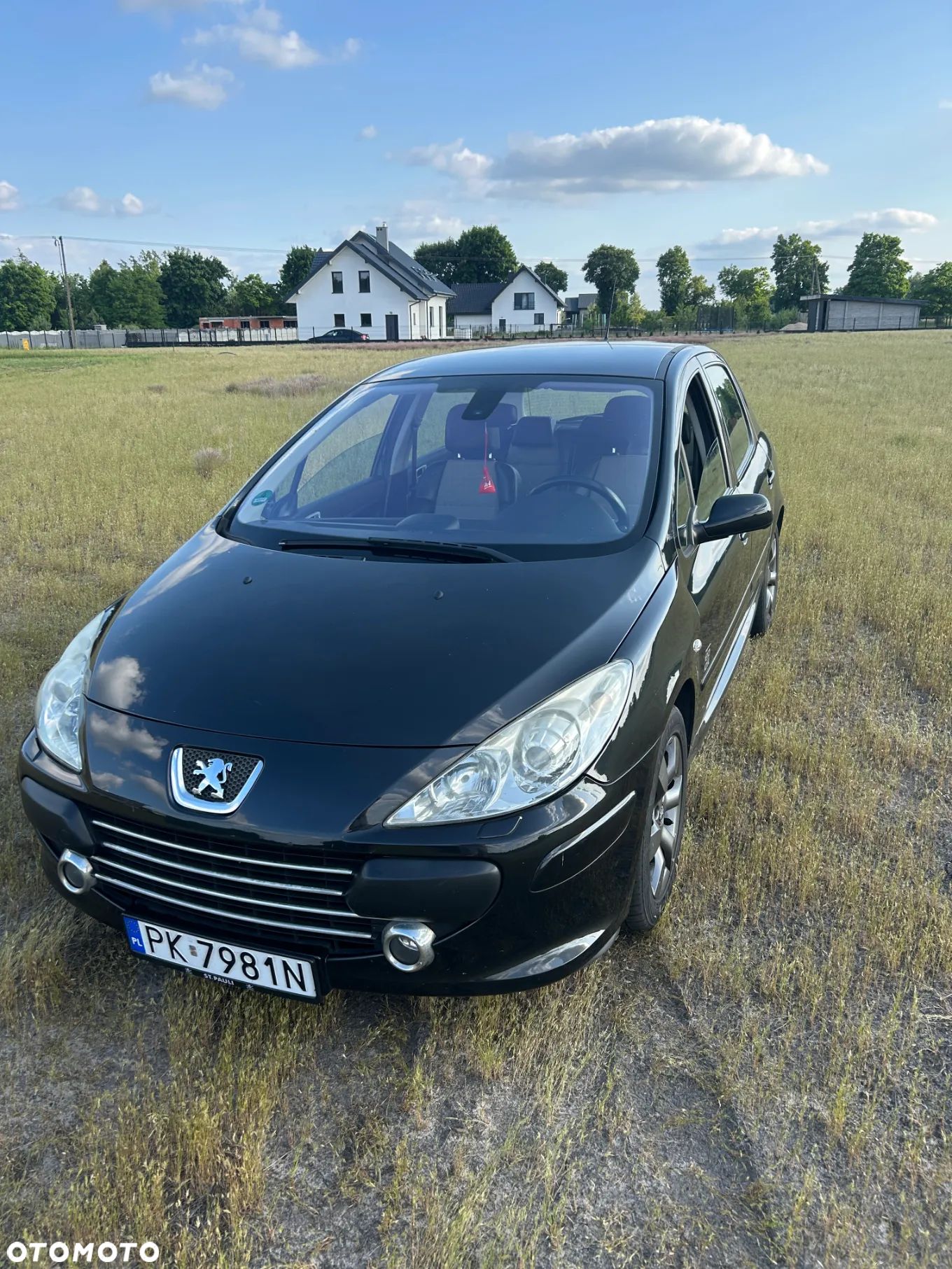 Peugeot 307 1.6 - 1
