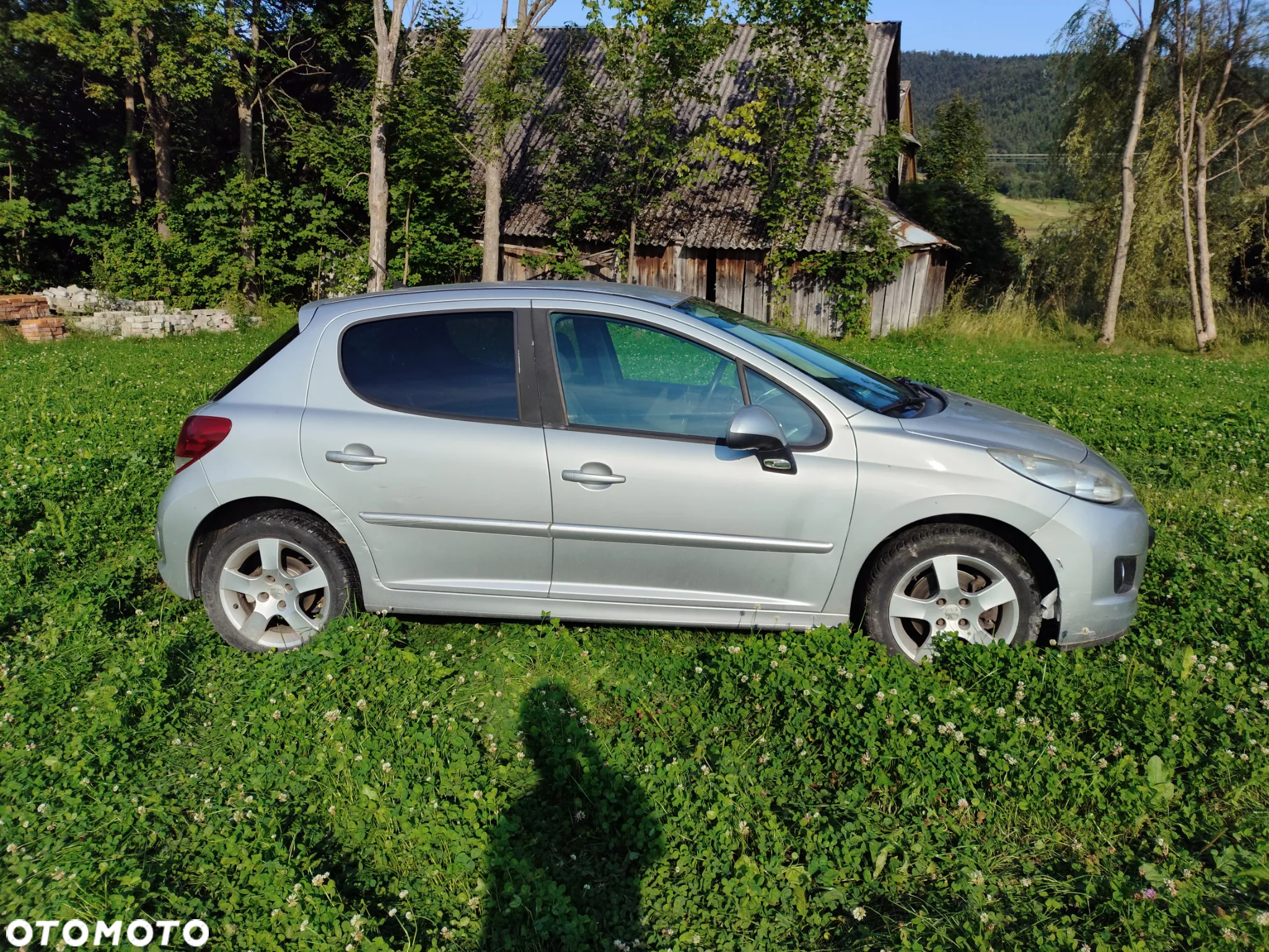 Peugeot 207 - 7