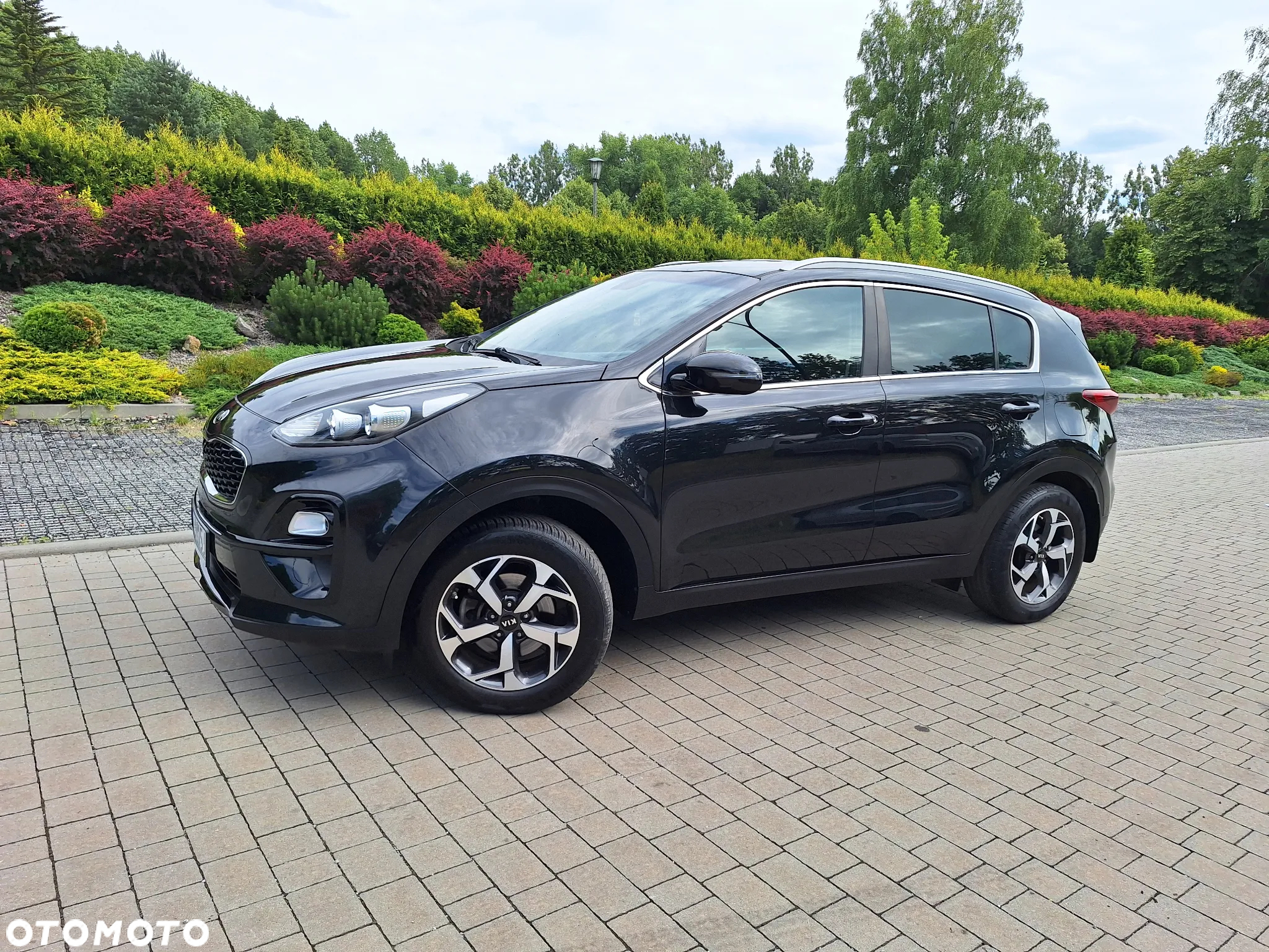 Kia Sportage 1.6 GDI L Business Line 2WD - 28