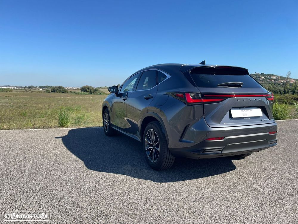 Lexus NX 450h+ - 8