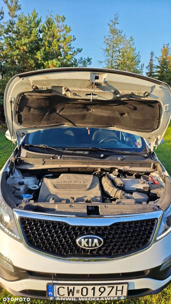 Kia Sportage - 6