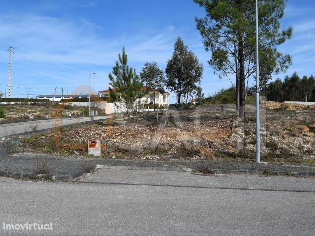 Excelente Lote para Construção de Moradia em Albergaria dos Doze - Grande imagem: 3/23