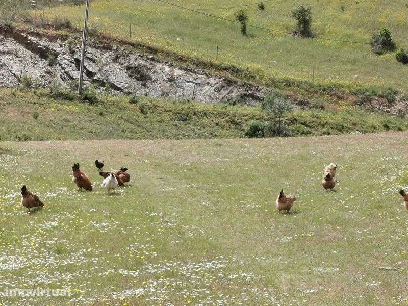 Caravanas para alugar e terreno disponível - Serra Algarvia - Grande imagem: 3/6