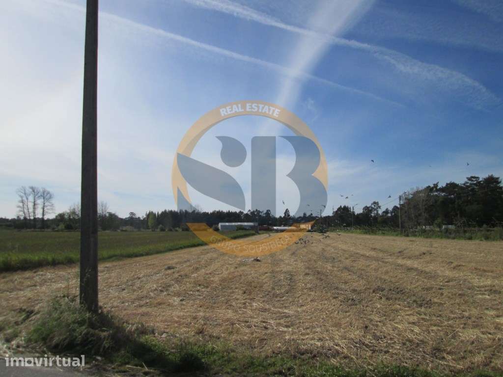 Terreno arredores centro Ovar - Grande imagem: 5/9
