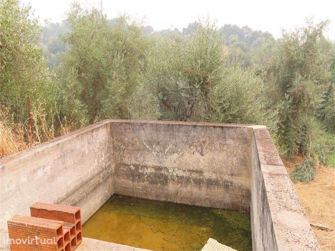 Quinta  para venda - Grande imagem: 2/25