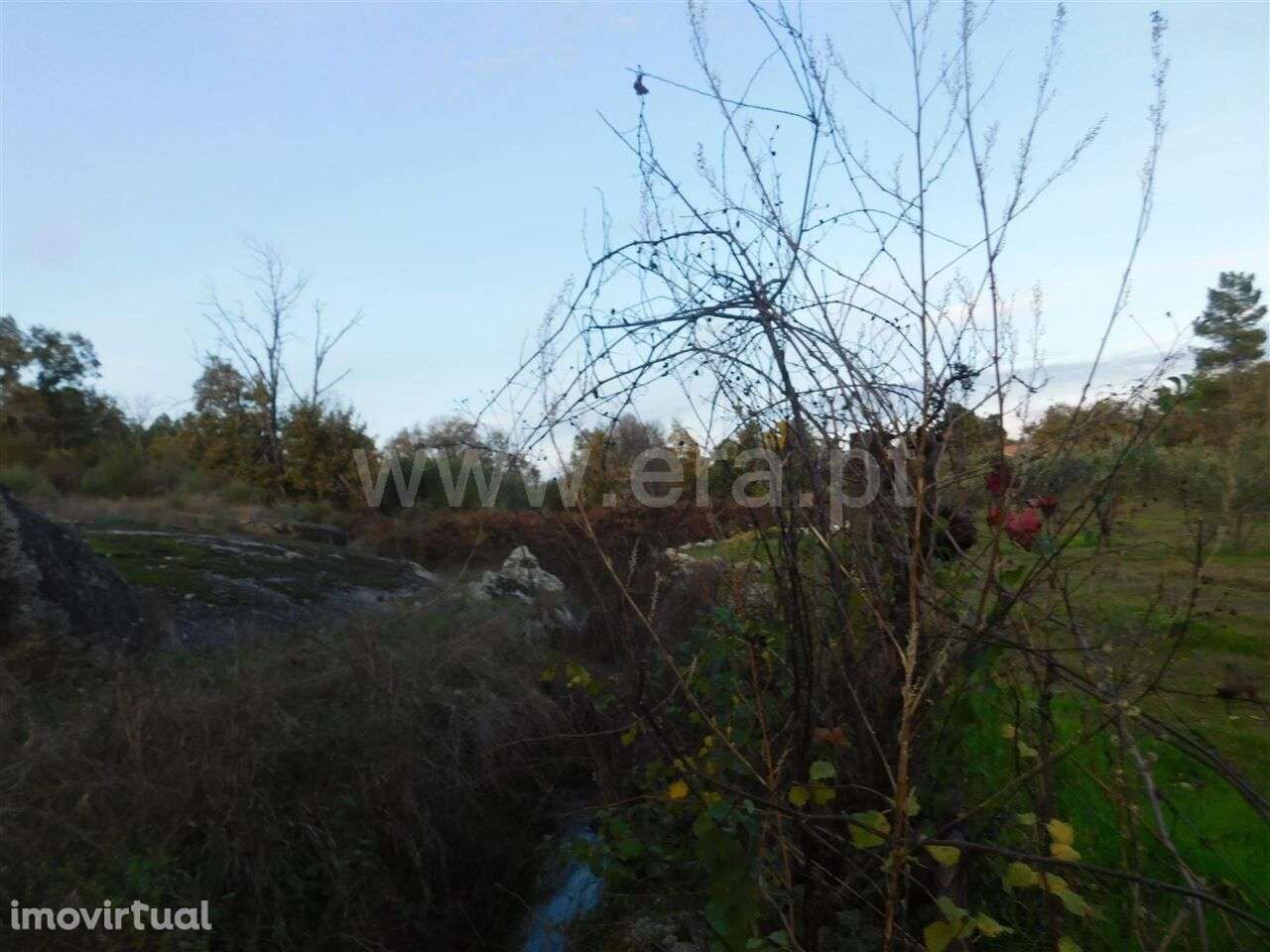 Quinta T1 / Fundão, Orca - Grande imagem: 5/11