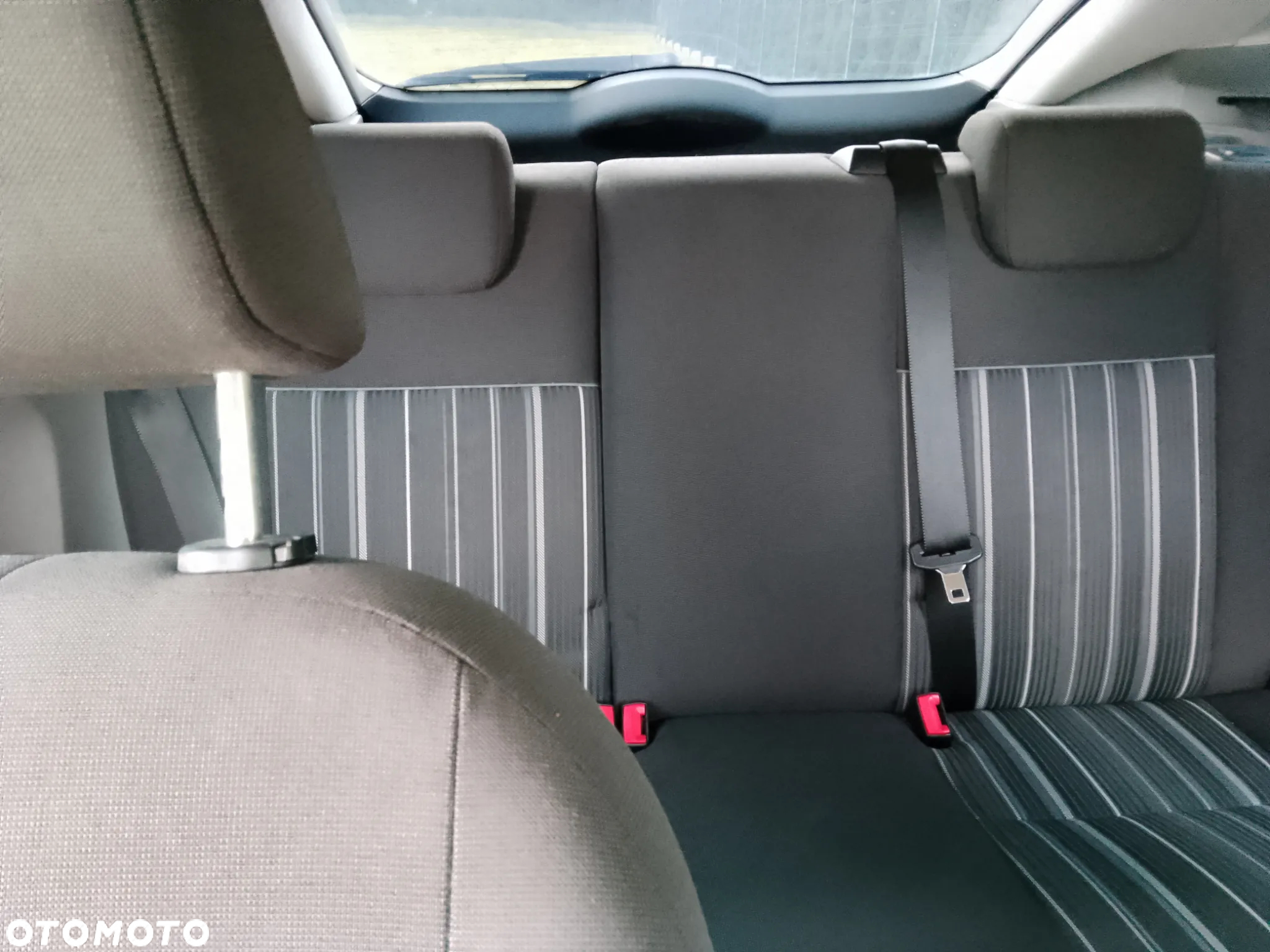 Ford Focus - 6