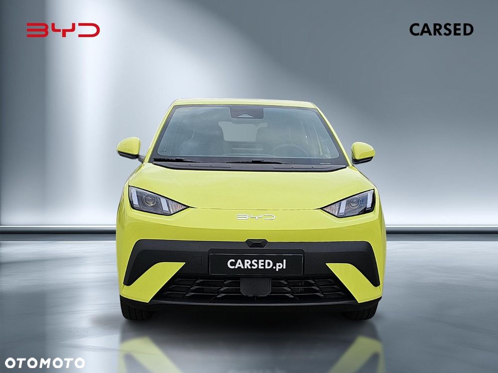 BYD Dolphin Surf - 8