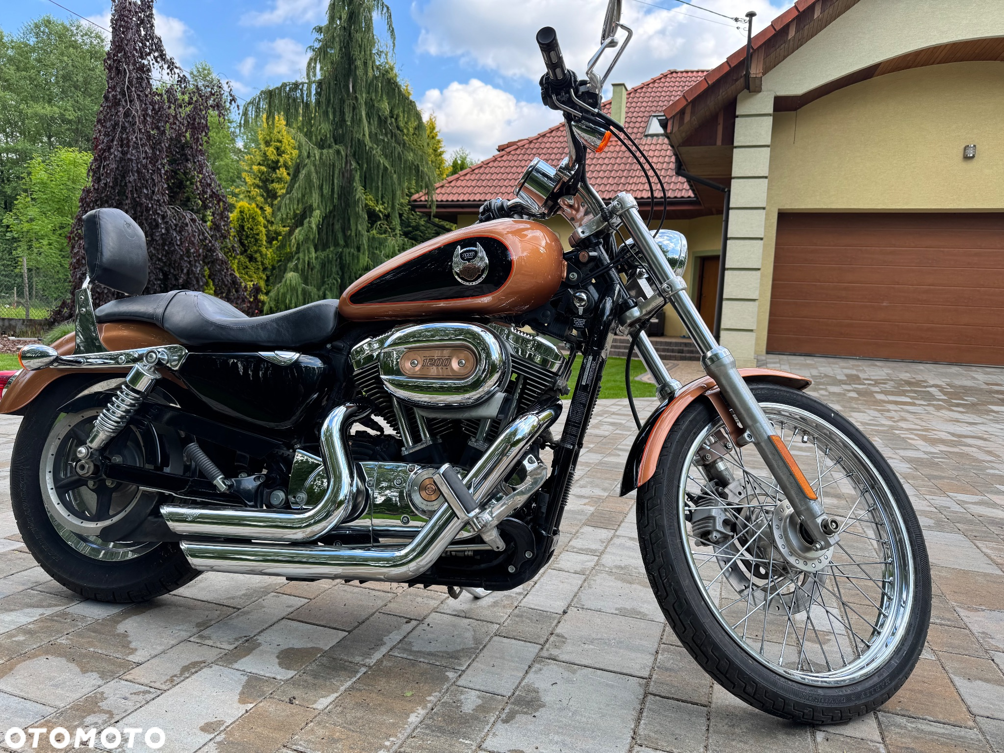Harley-Davidson Sportster Custom 1200C - 4