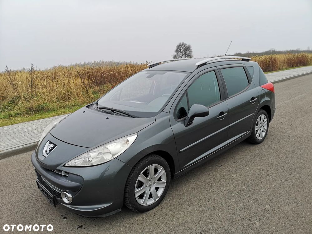 Peugeot 207 - 13