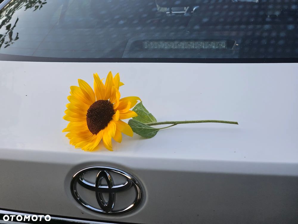 Toyota Corolla - 17
