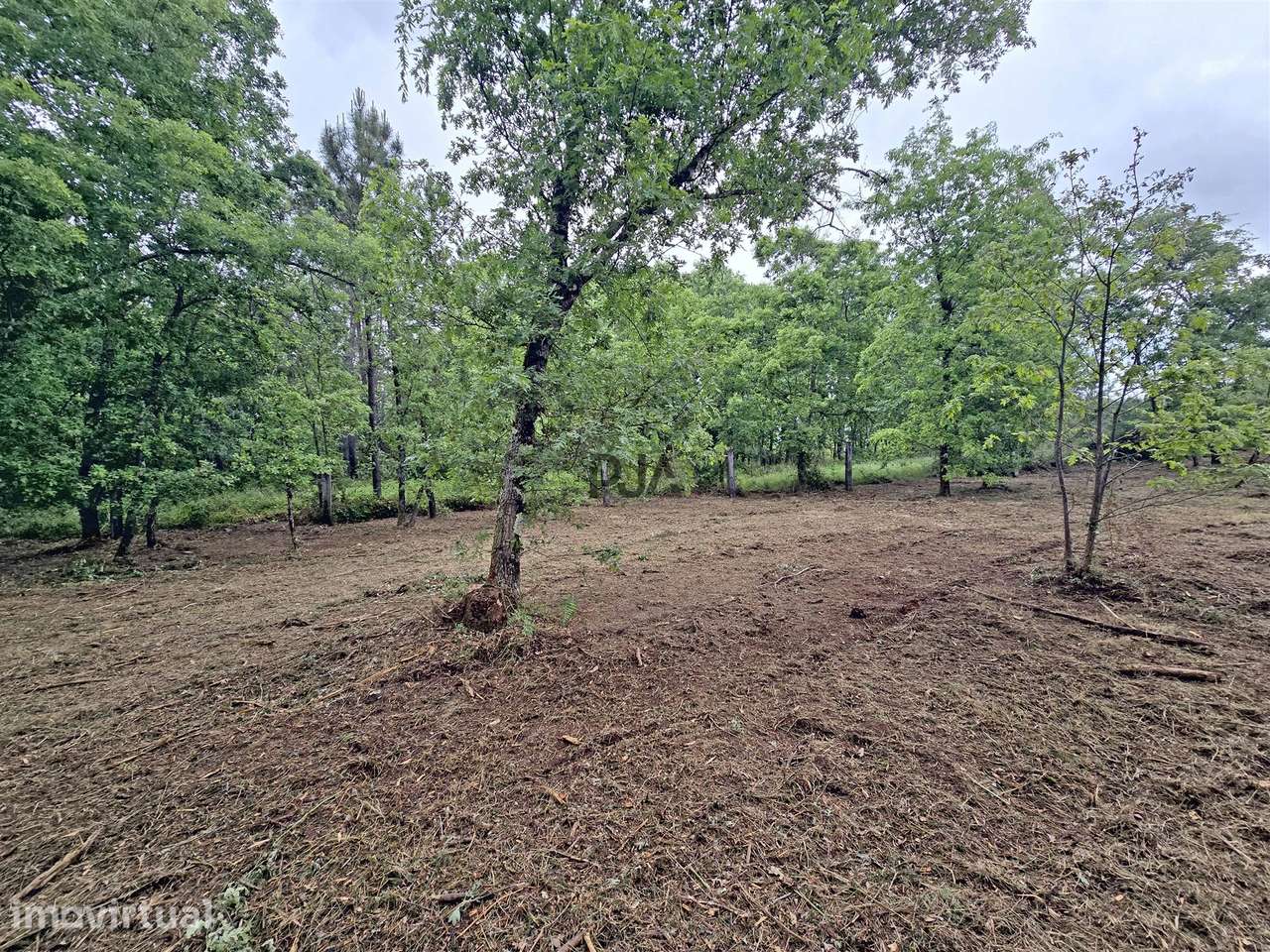 Lote de Terreno Industrial em Quintela de Azurara, Mangualde - Grande imagem: 4/9