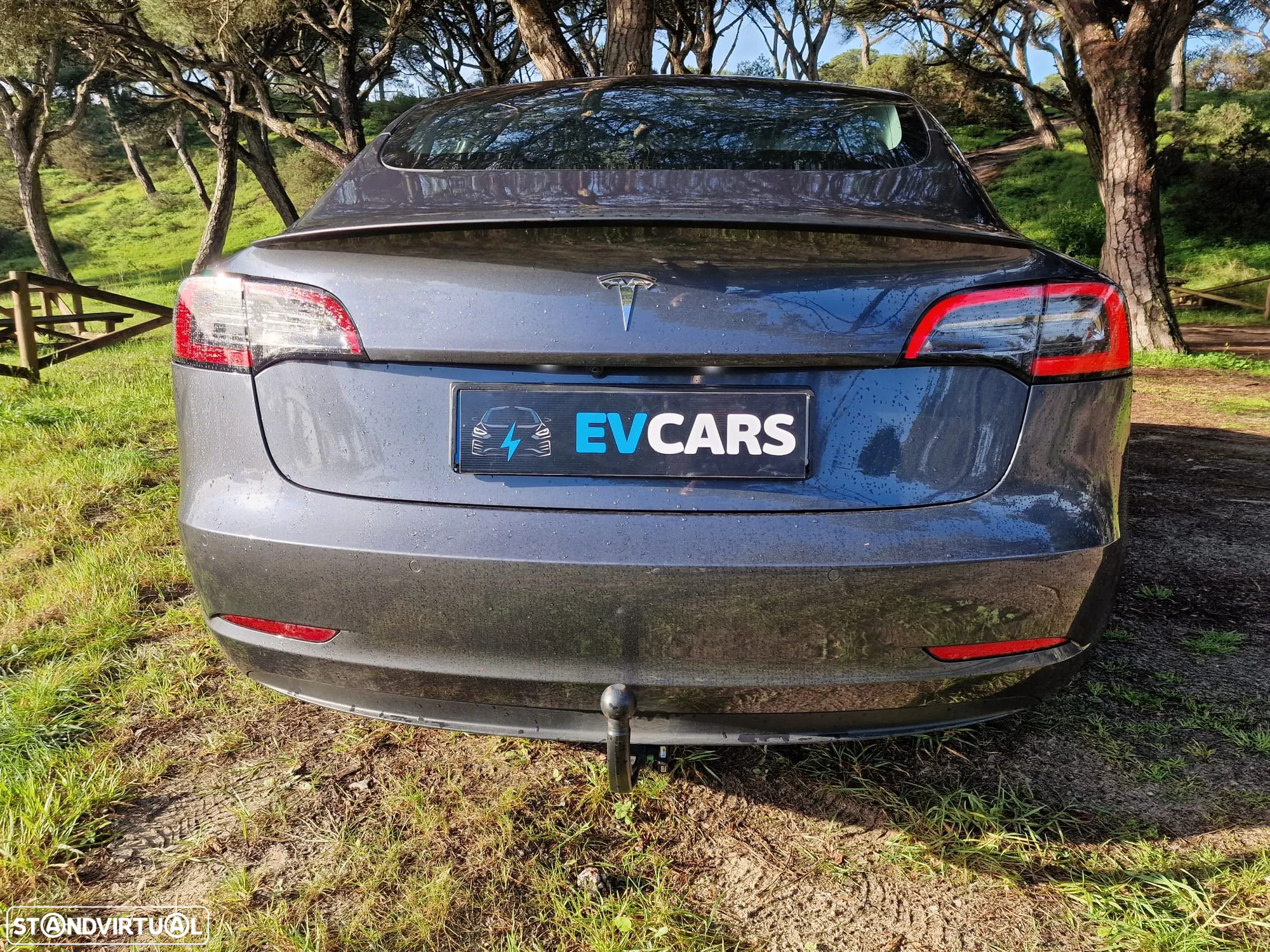 Tesla Model 3 Standard Range Plus RWD - 12