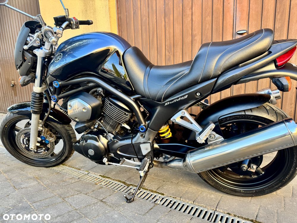 Yamaha Bulldog - 3