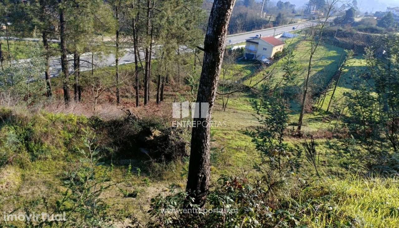 Venda Moradia V3, Marco, Marco de Canaveses - Grande imagem: 3/23