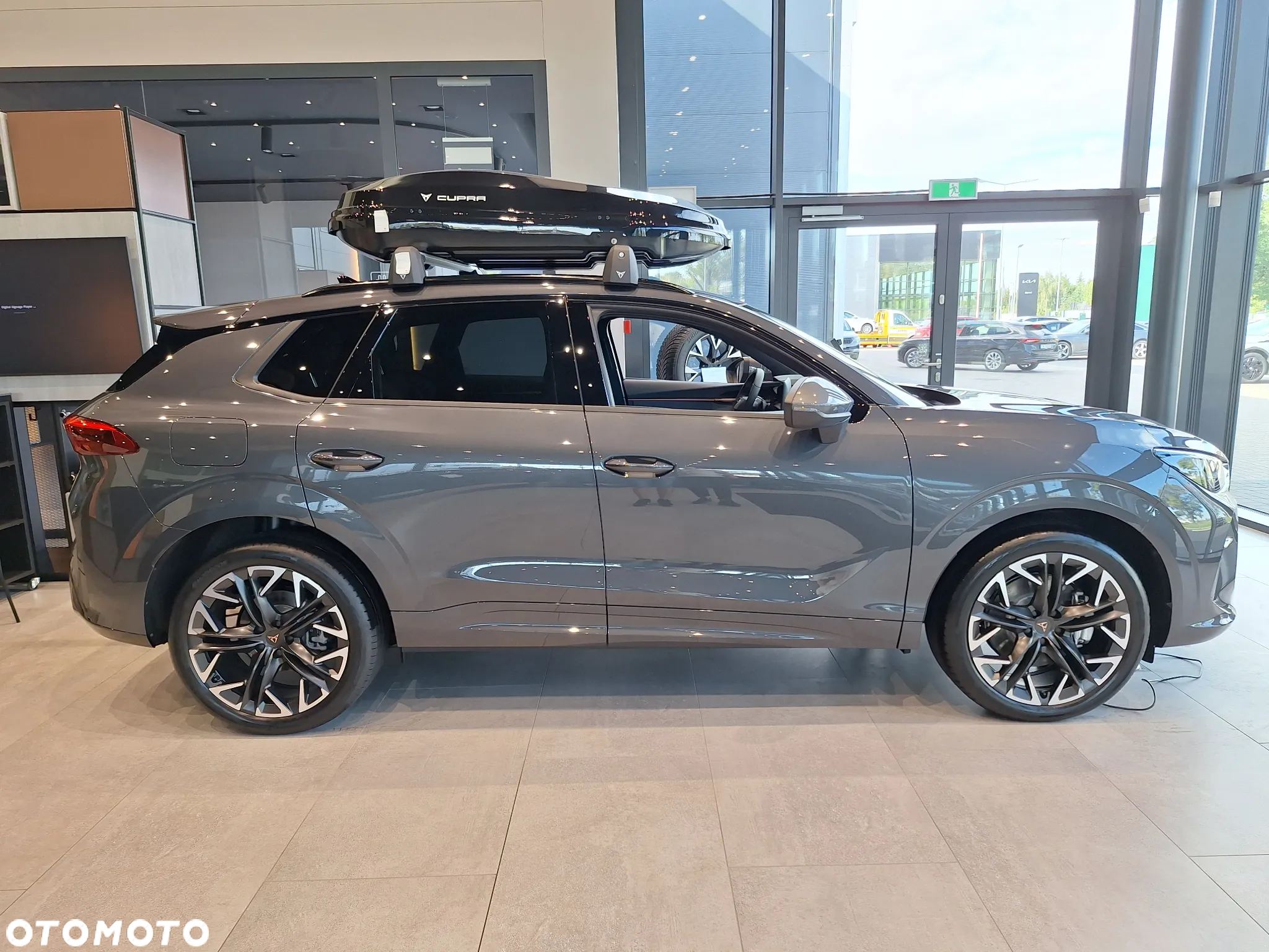 Cupra Terramar - 6