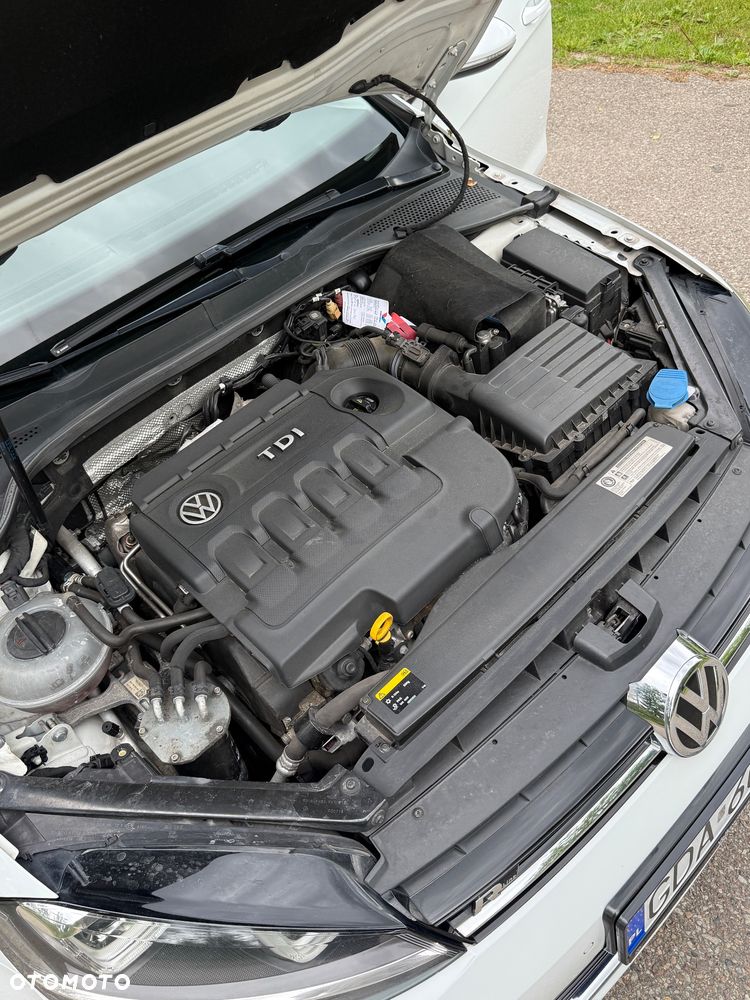Volkswagen Golf - 31