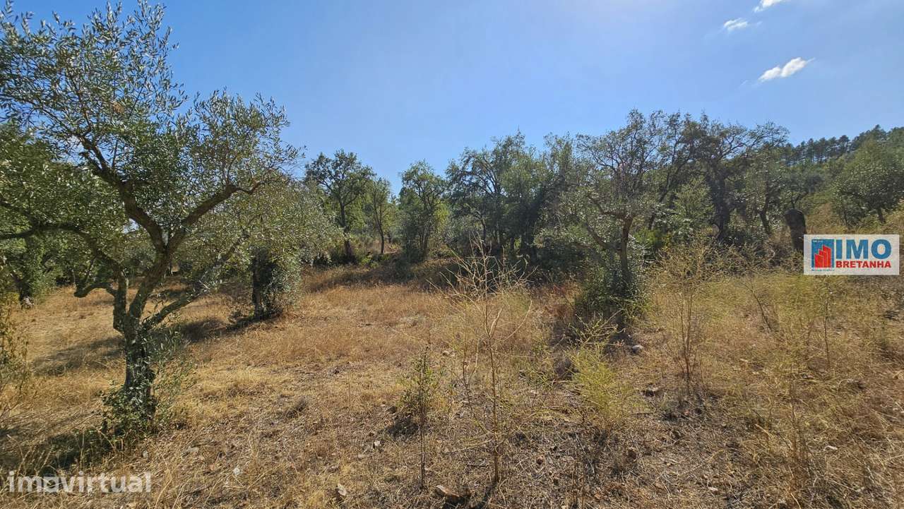Quinta em Salgueiro do Campo - Grande imagem: 2/20