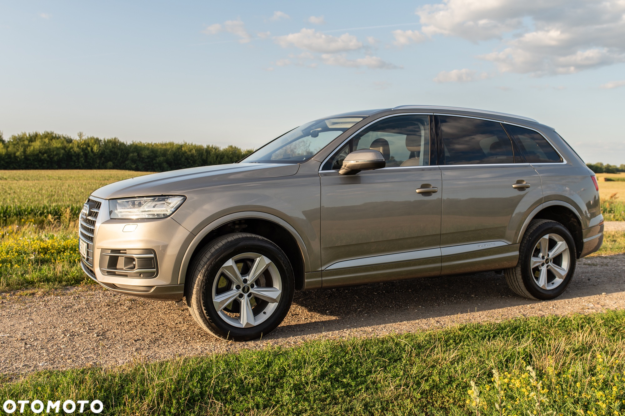 Audi Q7 3.0 TDI Quattro Tiptronic - 10
