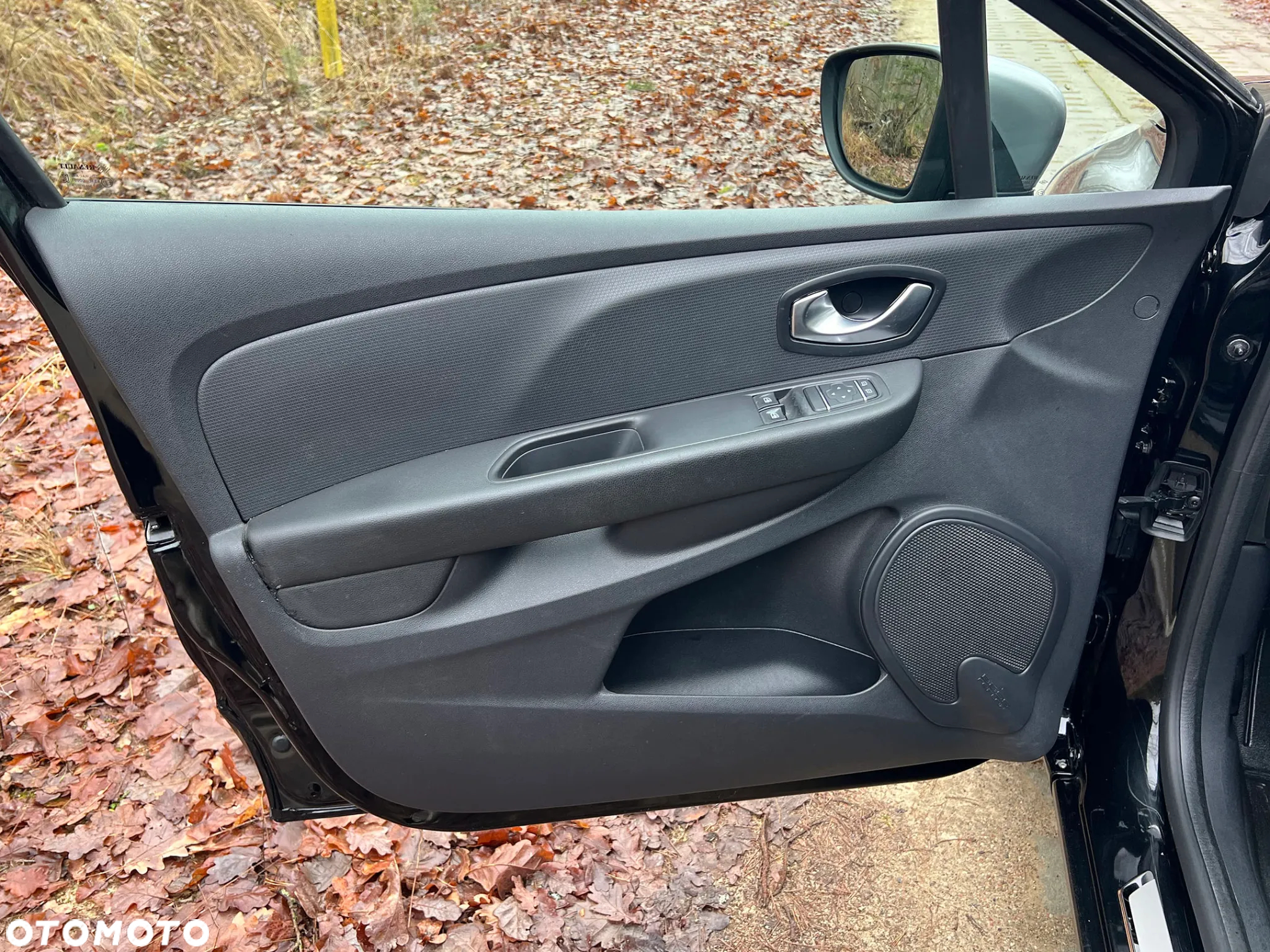 Renault Clio - 15