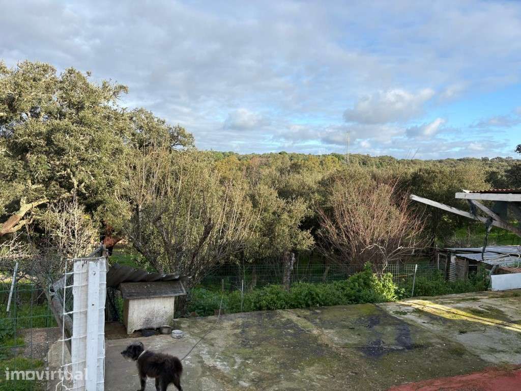 Quinta para reconstruir em Melides - Grande imagem: 2/21