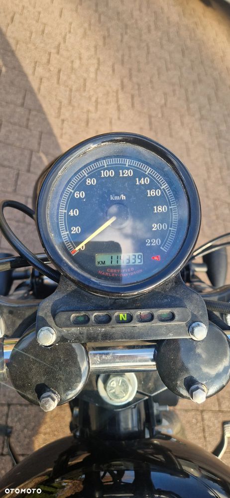 Harley-Davidson Sportster Roadster 883R - 2