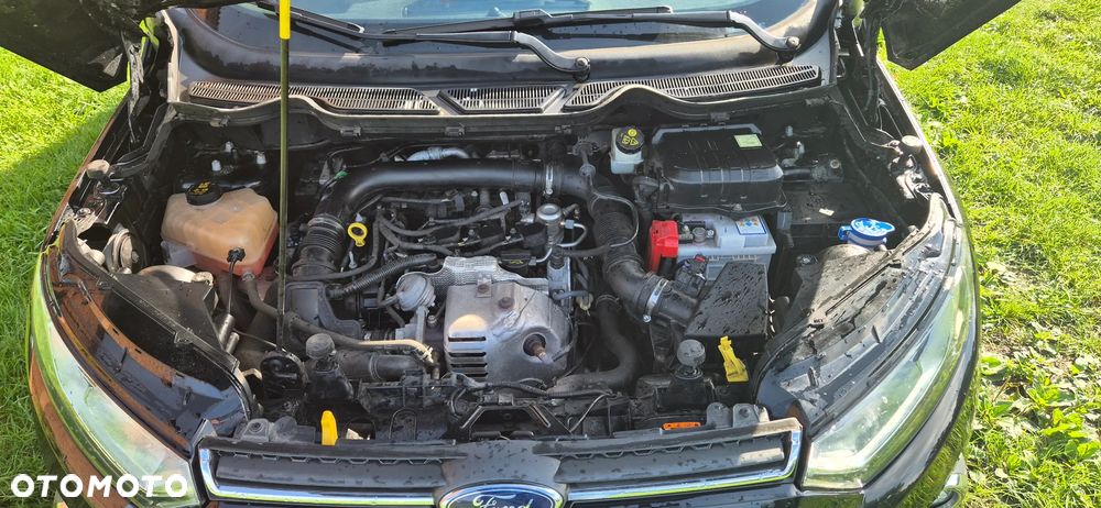 Ford EcoSport 1.0 EcoBoost S - 11