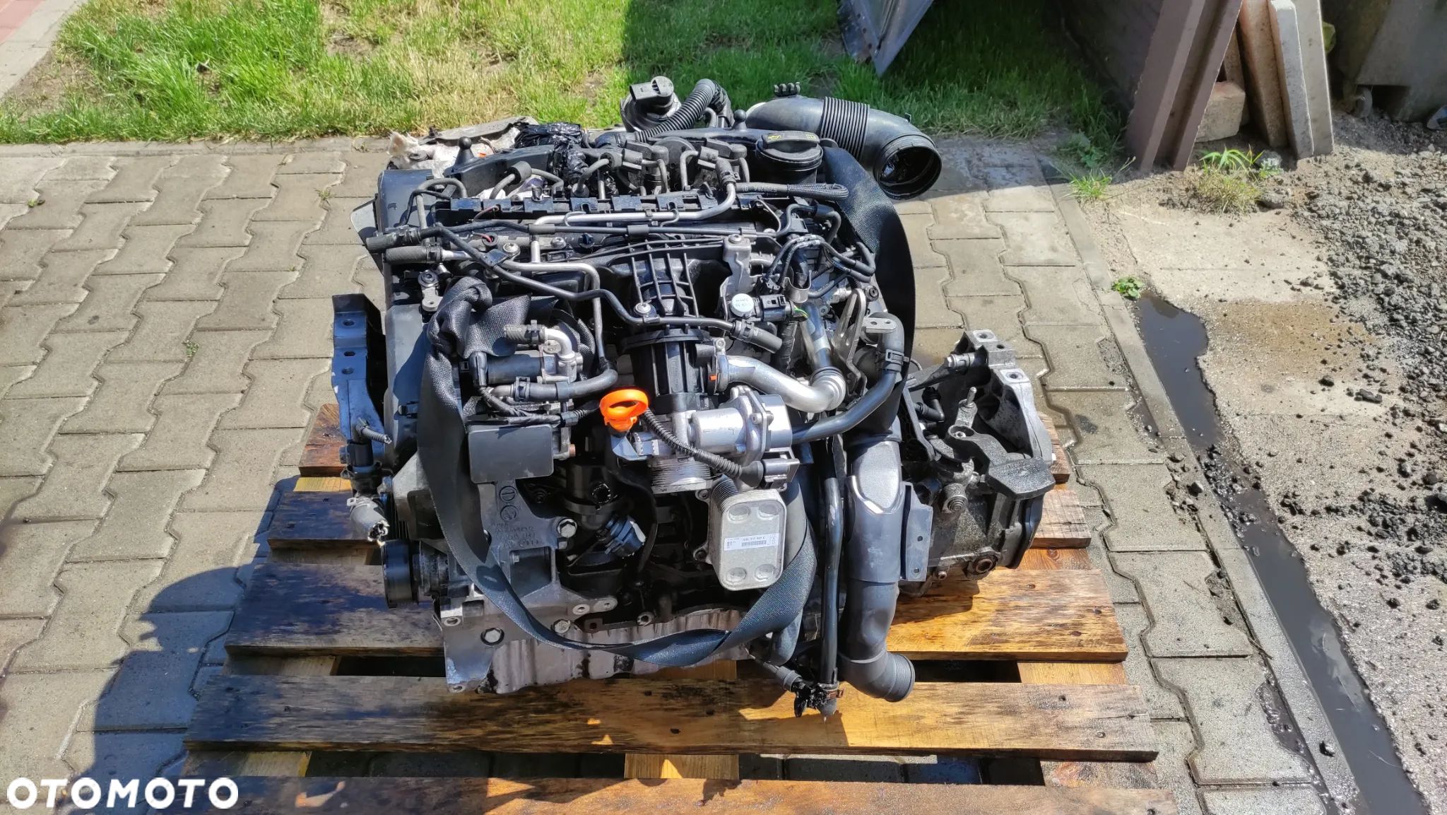 Silnik VW Caddy Audi 1.6 diesel kod: CAYD - 1