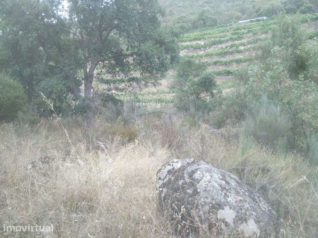 Terreno  para venda - Grande imagem: 5/9