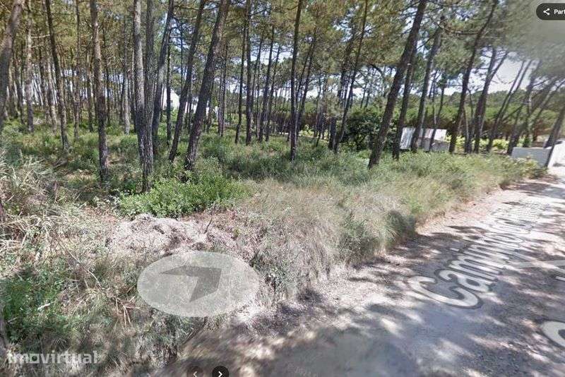 Terreno Rústico Pinhal com 2280 m² Praia São Julião - Grande imagem: 3/3